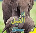 Elephant: Arabic-English Bilingual Edition (I Am)