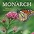 The Monarch: Saving Our Most-Loved Butterfly