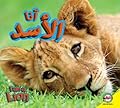 Lion: Arabic-English Bilingual Edition (I Am)