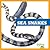 Sea Snakes (Reptile World)