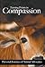 Turning Points in Compassion: Personal Journeys of Animal Advocates