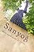 Sanyog by Bhupinder Singh