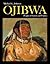Ojibwa by Michael G. Johnson