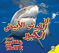 Great White Shark: Arabic-English Bilingual Edition (I Am)