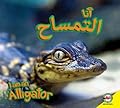 Alligator: Arabic-English Bilingual Edition (I Am)