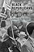 Black Republicans and the Transformation of the GOP (Politics and Culture in Modern America)