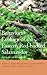 Behavioral Ecology of the Eastern Red-backed Salamander: 50 Years of Research