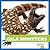 Gila Monsters (Reptile World)
