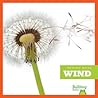 Wind by Jennifer Fretland Vanvoorst