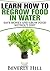 How to Regrow Food in Water: Save Money and Regrow Food in Water Without Dirt