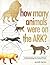 How Many Animals Were on the Ark?