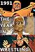1991: The Year in Pro Wrest...