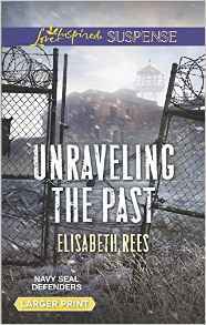 Unraveling the Past (Navy SEAL Defenders #4)