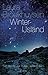 Winter-IJsland