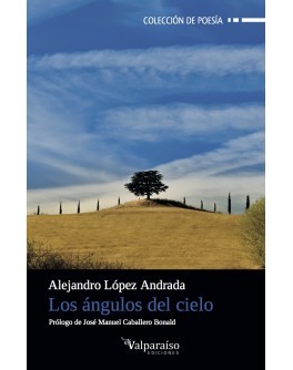 Los ángulos del cielo (Paperback)