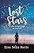 Lost Stars, or What Lou Reed Taught Me About Love