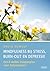 Mindfulness bij stress, burn-out en depressie; Een 8-weken-stappenplan voor hulpverleners