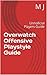 Overwatch Offensive Playstyle Guide: Unnoficial Players Guide (Overwatch Playstyle Guide Book 1)