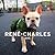 Rene-Charles: NYC: Little Bulldog in the Big City