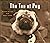 The Tao of Pug