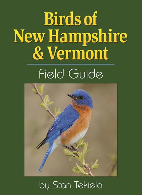 Birds of New Hampshire & Vermont Field Guide (Bird Identification Guides)