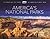 America's National Parks - A Photographic Journey Through Nearly 400 National Parks: Celebrating 100 Years of America's National Parks