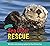 Sea Otter Rescue