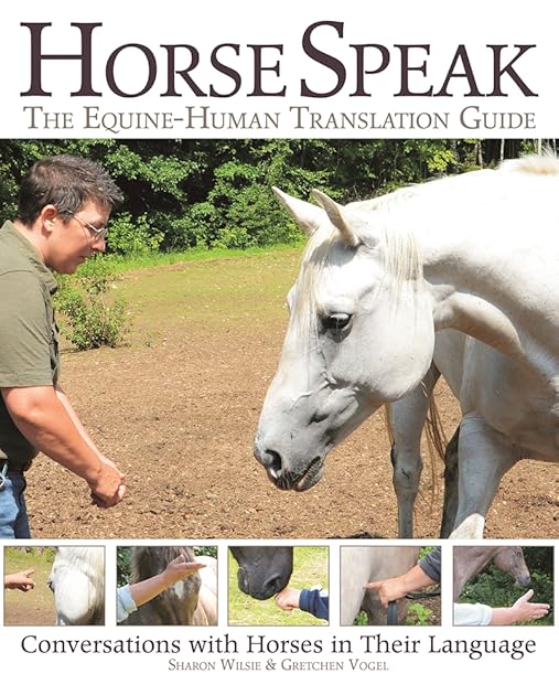 Horse Speak: Conversations with Horses in Their Language