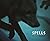 Spells: A Novel Within Phot...