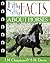 Fifty Nifty Facts about Horses by J.M. Chapman