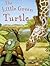 Playtime Picture Books Little Green Turt