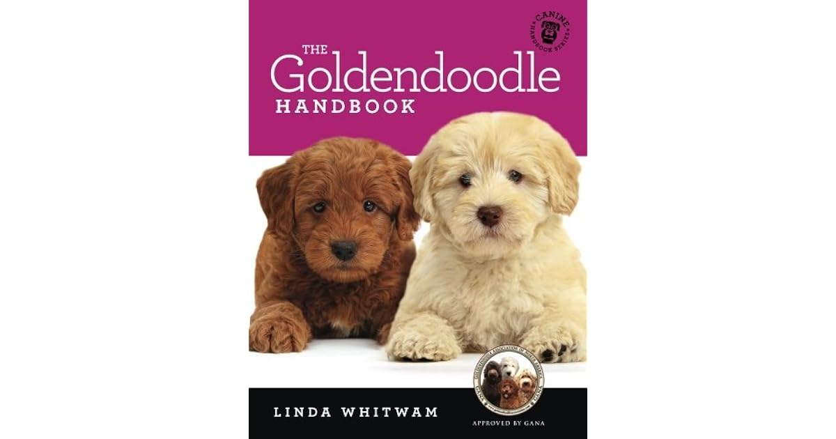 The Goldendoodle Handbook The Essential Guide For New & Prospective Goldendoodle Owners by