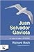 Juan Salvador Gaviota