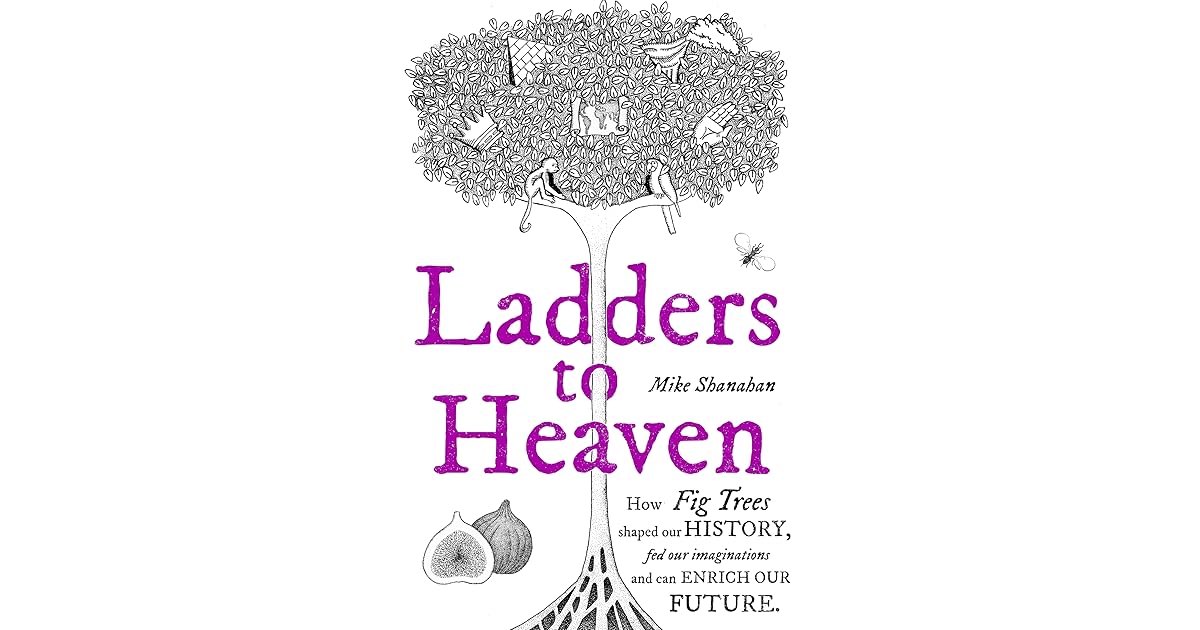 Ladders to Heaven by Mike Shanahan