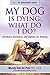 My Dog Is Dying: What Do I ...