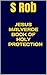Jesus Malverde Book of Holy...