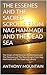 THE ESSENES AND THE SACRED SCROLLS FROM NAG HAMMADI AND THE DEAD SEA: The Origin of the Essenes Brotherhood and The Discovery of The Manuscripts from Nag Hammadi and The Dead Sea Library