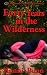 40 Years In The Wilderness