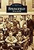 Springfield: Volume II (Images of America: Massachusetts)