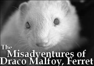 The Misadventures of Draco Malfoy, Ferret (Online Fanfiction )