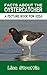 Facts About the Oystercatcher (A Picture Book For Kids 127)