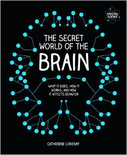 The Secret World of the Brain (Hardcover)