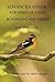 Advanced Guide for Birds of Japan Mountains and Fields 247 Species