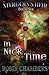 In the Nick of Time by Mr Robin B. Chambers