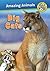 Wild Cats: Big Cats