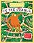 Find Your Way In the Jungle