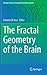 The Fractal Geometry of the Brain (Springer Series in Computational Neuroscience)