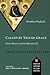 Called by Triune Grace: Divine Rhetoric and the Effectual Call (Studies in Christian Doctrine and Scripture)