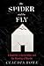 The Spider and the Fly: A W...