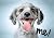 Rescue Me! Dog Adoption Por...